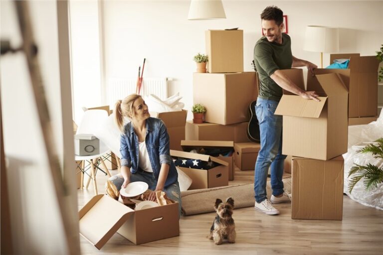 Smooth Moving: Tips From Safe Ship Moving Services for Making the Transition Hassle-Free and Smooth